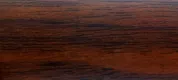 Кромка Х006-39    0.45 X 20 ОРЕХ ДОНСКОЙ